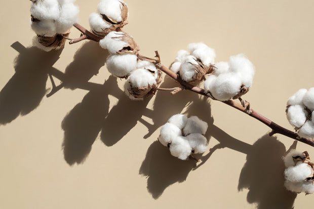 <h3>Organic cotton</h3>