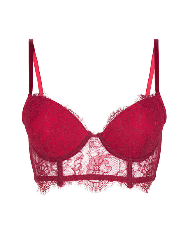 Chptr-S, Sister from another mister, Burgundy, Lace, Sexy, Robert, Wired bra